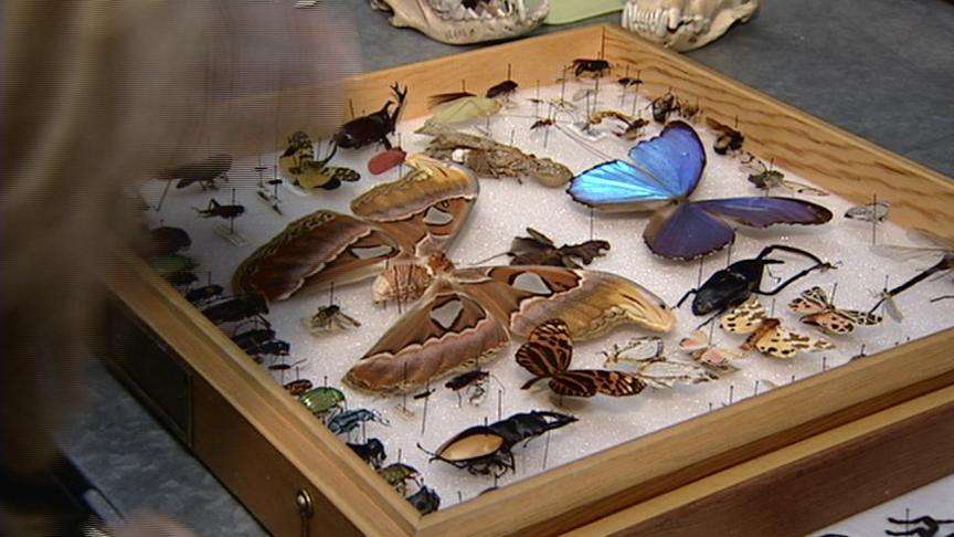 Famous Biologist to Speak to Sold Out Kingsbury Hall