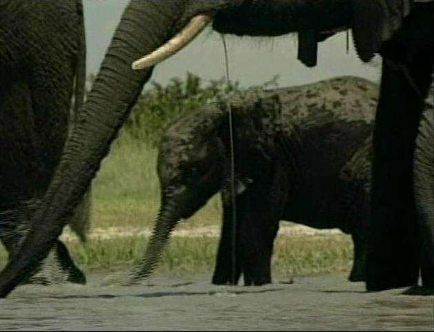 Famous Biologist to Speak to Sold Out Kingsbury Hall