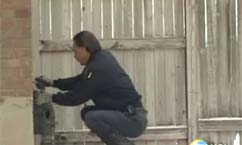 Car Crashes Into Gas Meter
