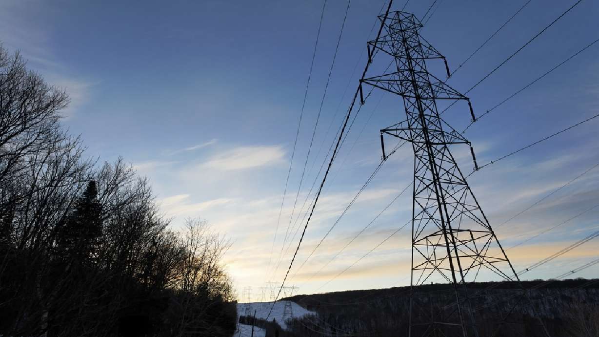 Fox sneaks into substation, knocks out power