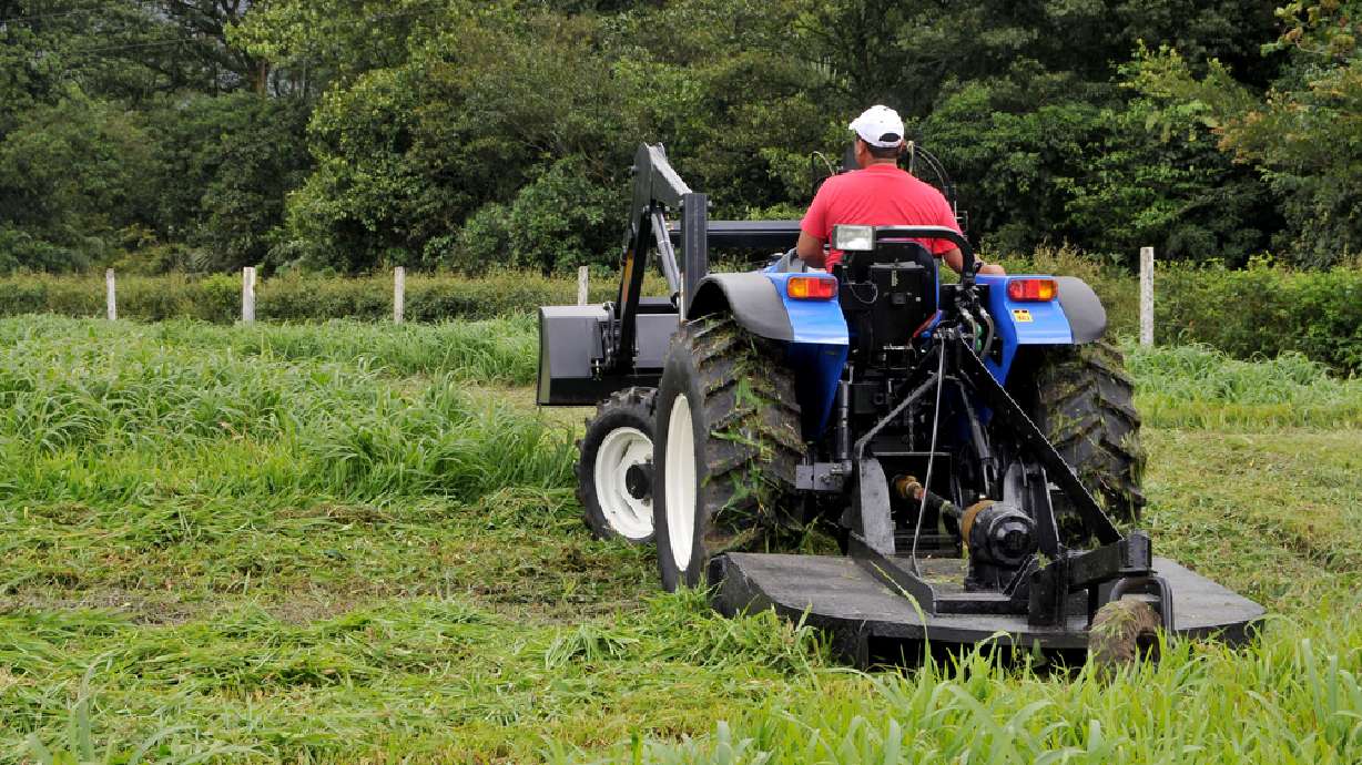 Utah farms lag in grants for efficiency projects