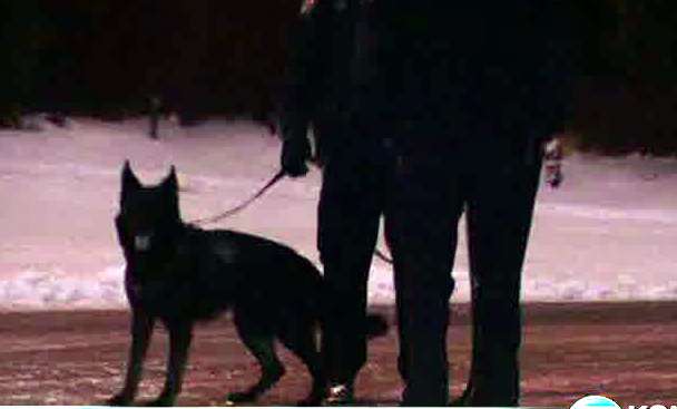 Neighbor calls police on suspected car thief