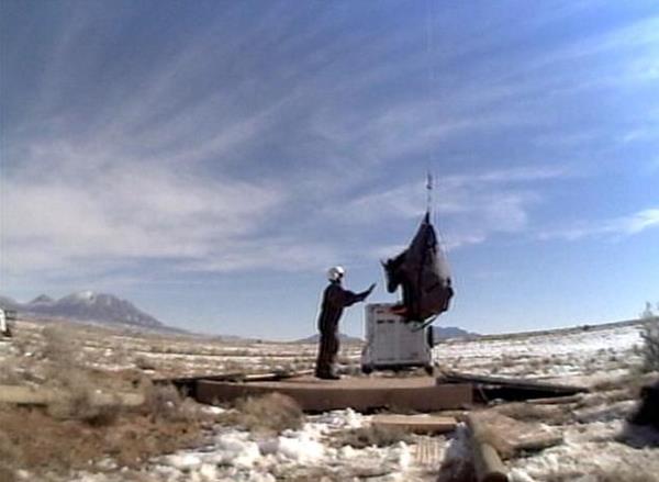 Utah's new bison herd thriving, expanding