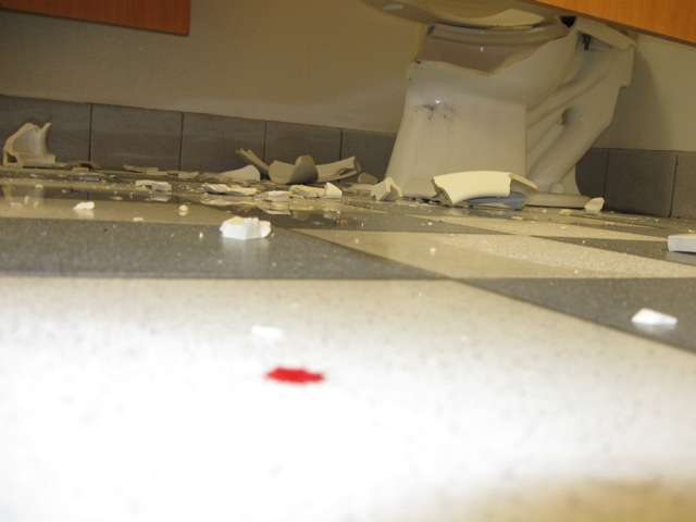Unlucky loo: Man's gun fires, shatters toilet