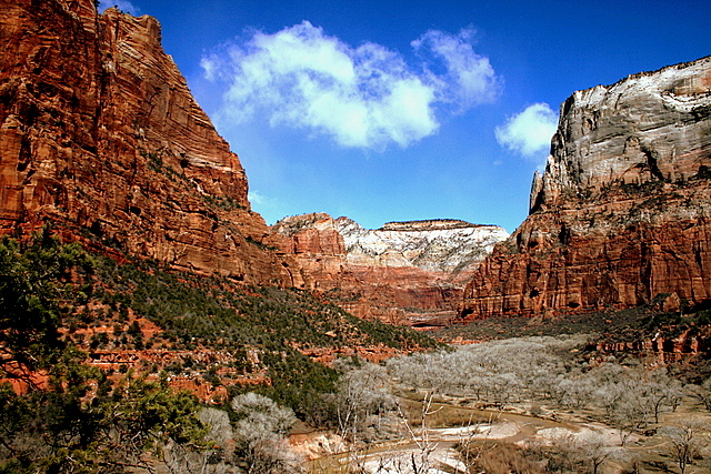 Study to explore public transit link between St. George, Zion National Park