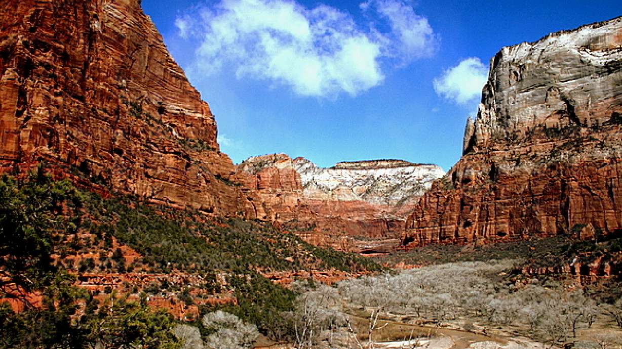 Study: Park Service averages 11 searches per day