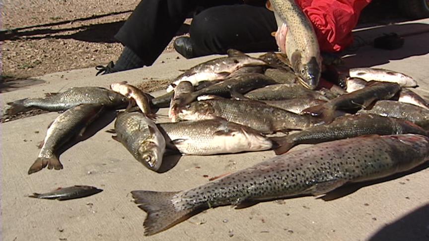 Fishing Looking Good at Strawberry Reservoir