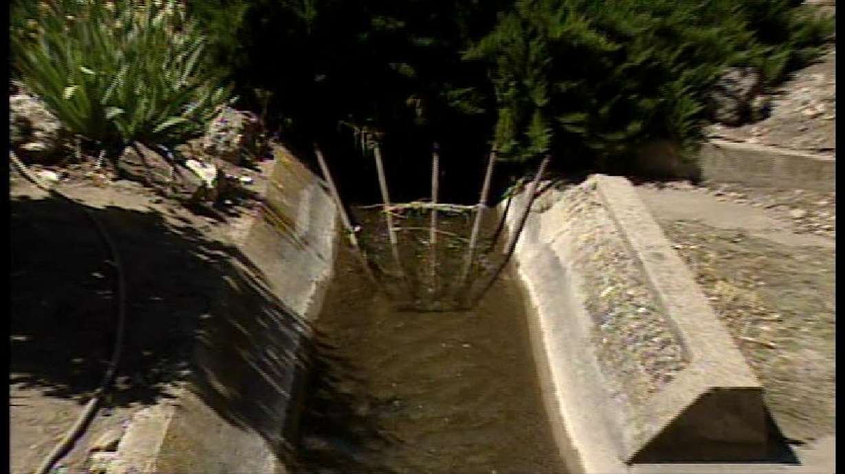 Two-year-old Rescued from Irrigation Ditch