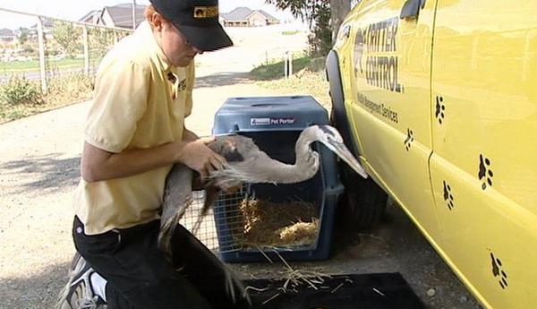 Ogden Nature Center to keep bird rehab program for now