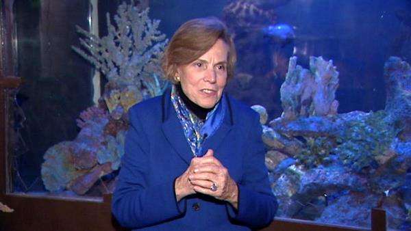 Deep-sea diver concerned for the human race