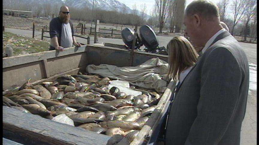 Utah Lake Commission Signed Into Law
