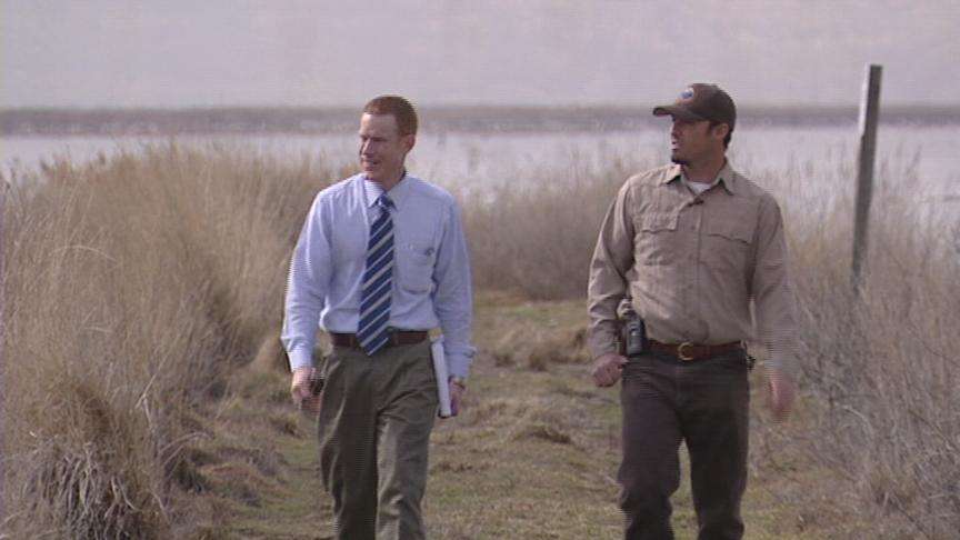 Wildlife Biologists to Burn 2,000 Acres of Noxious Plant