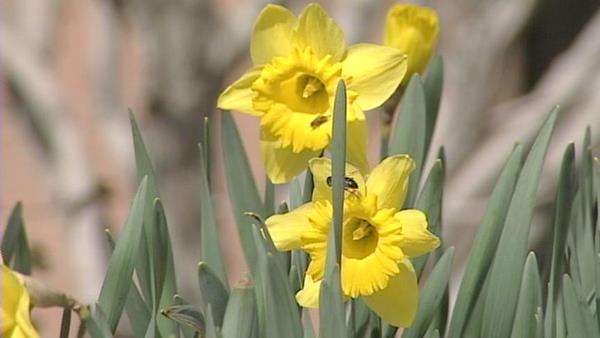 Computer models forecast climate changes in northern Utah