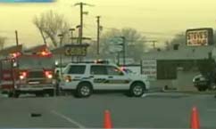 Dog Dies in Storage Facility Fire