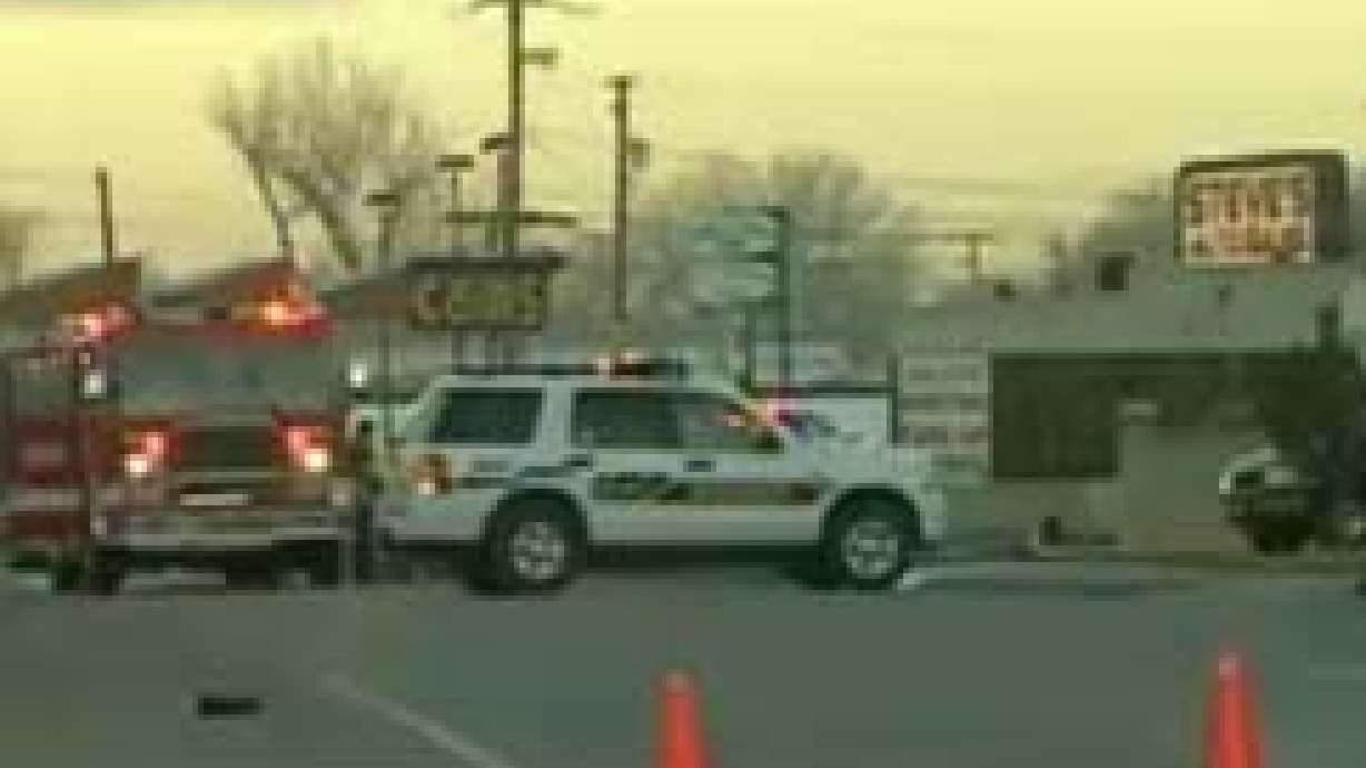 Dog Dies in Storage Facility Fire