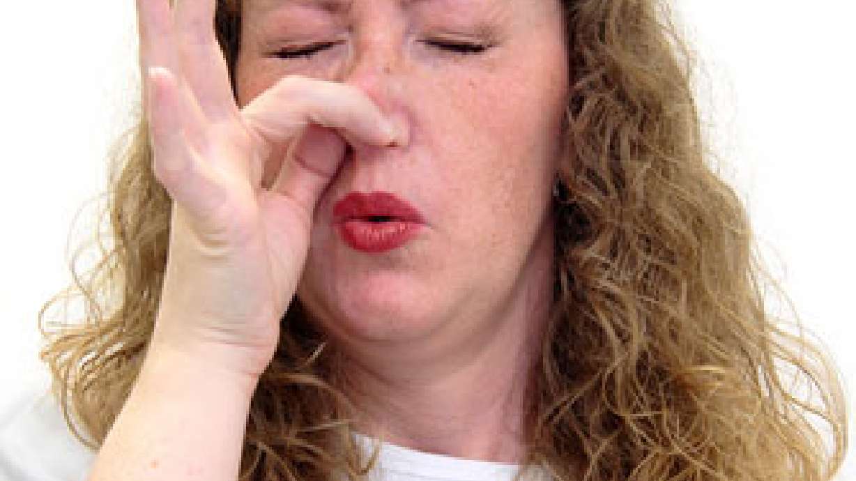 Efforts Underway to Relieve Disgusting Odor in American Fork