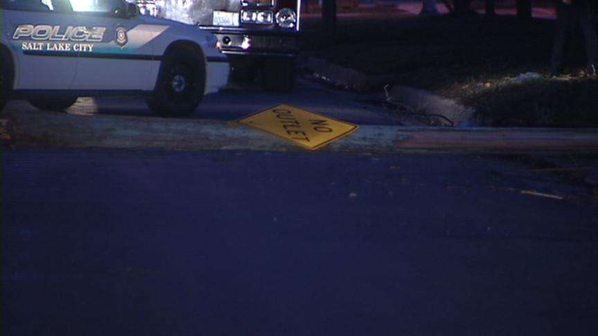 Drowsy Driver Takes Out Sign, Tree, Power Line Before Coming to a Stop