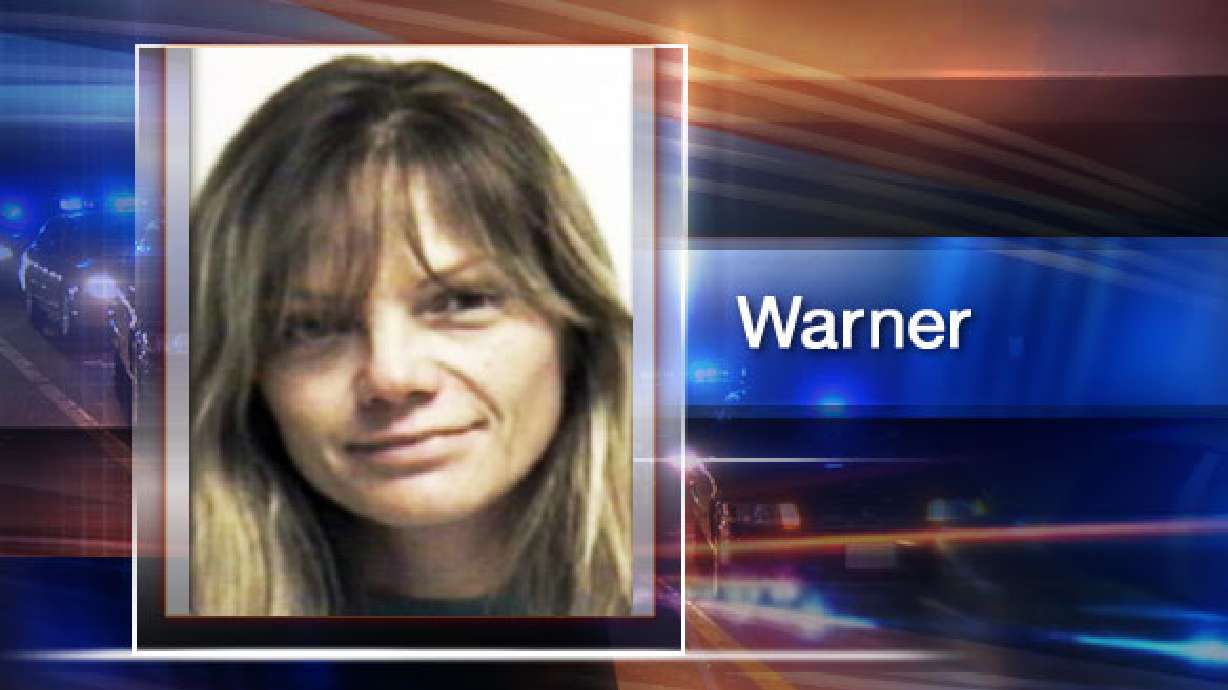 Woman Pleads Not Guilty to Forgery and Theft Charges