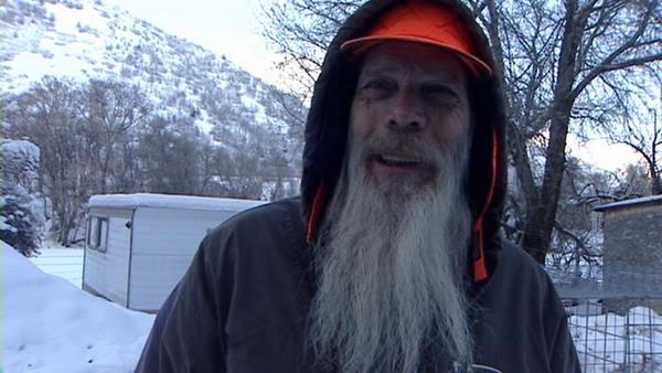 Wild turkeys invade Springville neighborhood