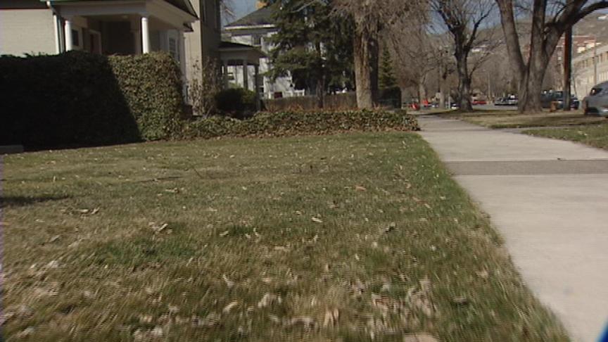 Allergies Hitting Hard Due to Unseasonably Warm Temperatures