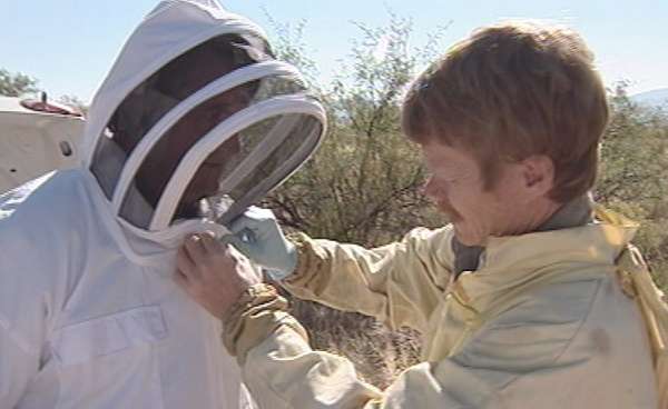 KSL's John Hollenhorst getting suited up for a bee attack