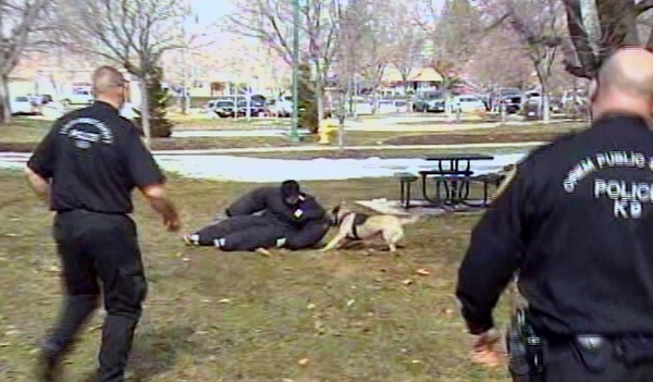 Chinese police officials getting tips from Orem officers