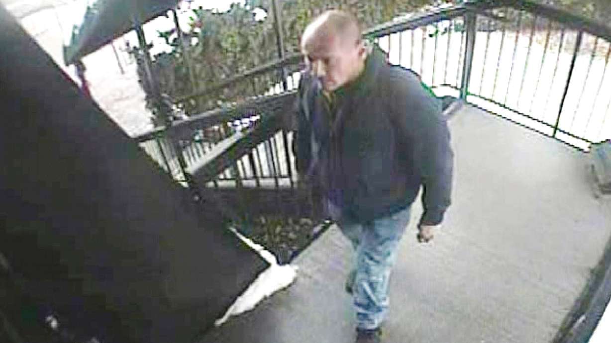 Reward offered in search for serial burglar