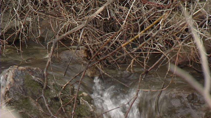 Some East Bench Residents Run Low on Water Tonight
