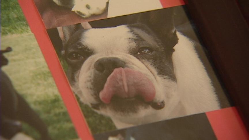 Owners of Deceased Pets Devastated by Pet Food Recall