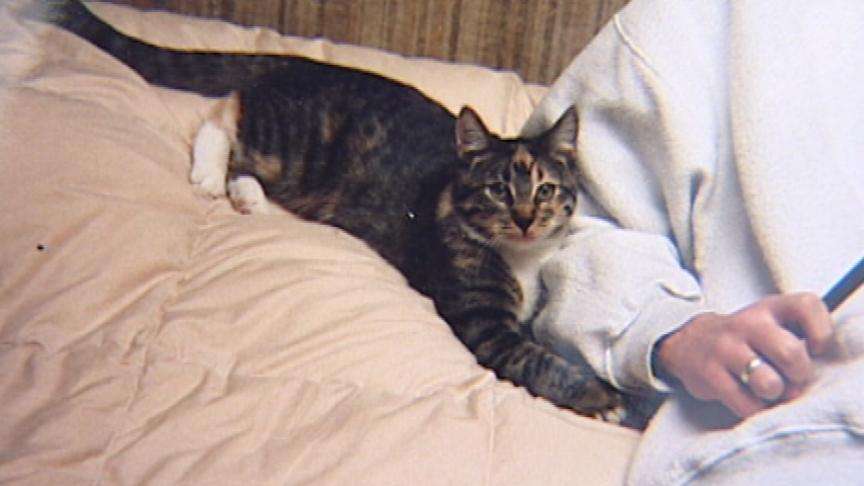Owners of Deceased Pets Devastated by Pet Food Recall