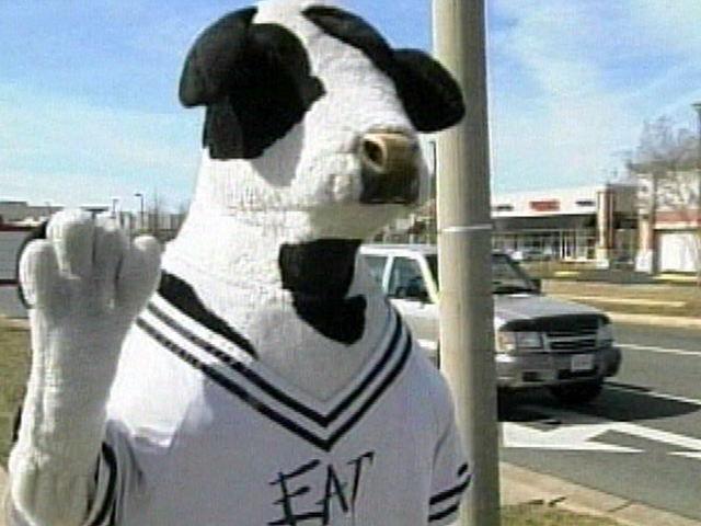 Maryland police investigate assault on restaurant mascot