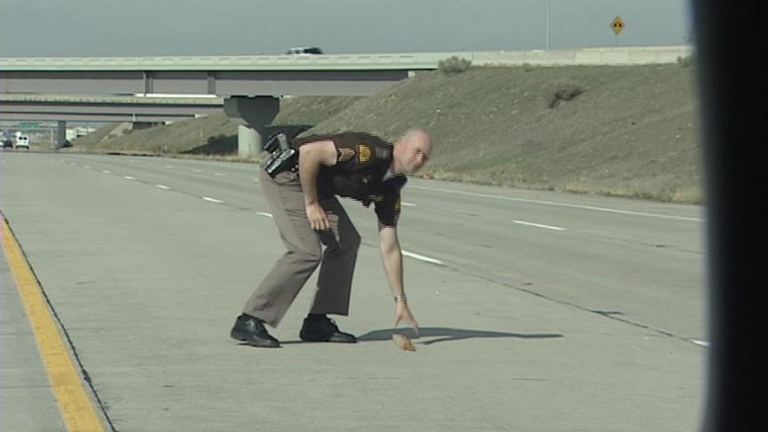 Drivers Being Asked to Report Obstacles on Freeways