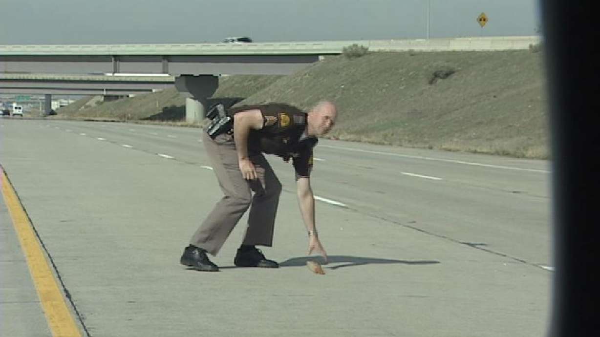 Drivers Being Asked to Report Obstacles on Freeways