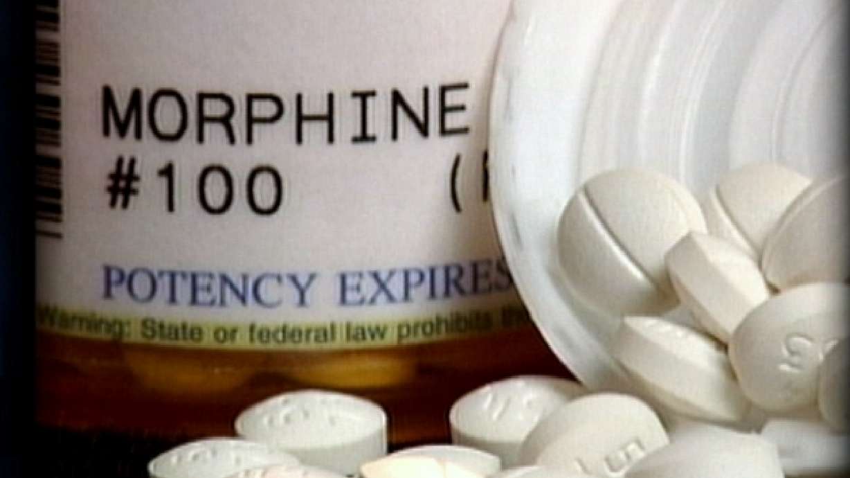 Study involving twins aims to create better painkillers