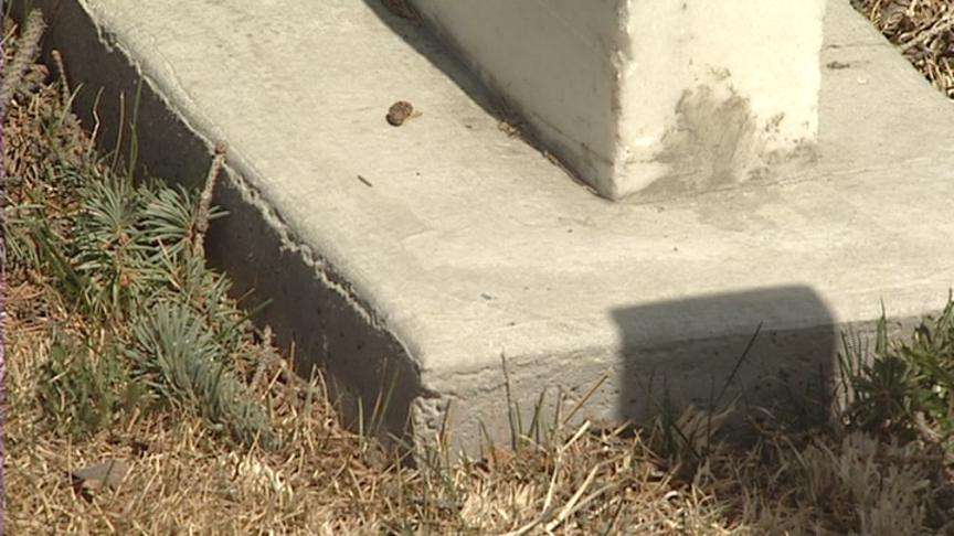 Plans Being Made to Repair Veterans' Section of Cemetery
