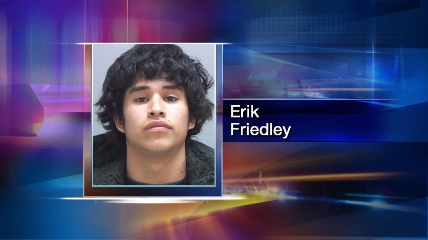 Two teens arrested for assaulting police officer