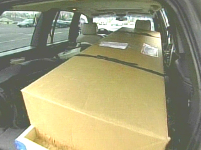 VIDEO: Pennsylvania pet store expects shipment of fish, gets dead body instead