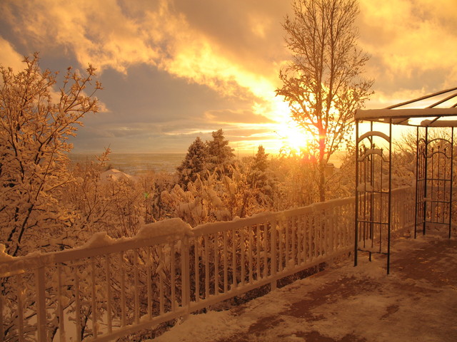 December 08