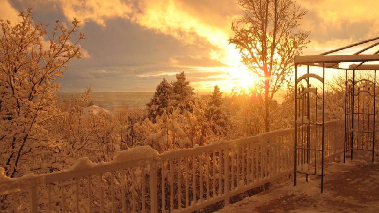 December 08